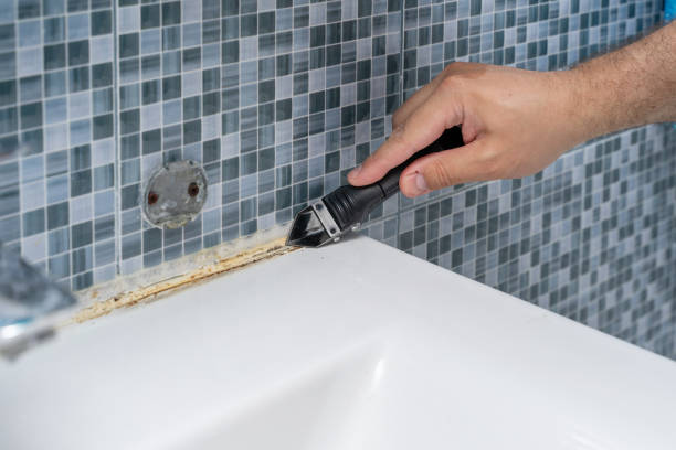 Best Health and Safety Mold Remediation in South Amherst, OH